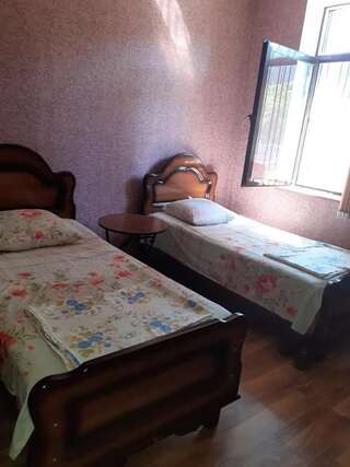 Гостевой дом temuriRoom Поти Бюджетный двухместный номер с 2 отдельными кроватями-10